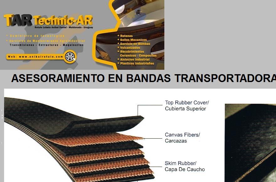 Asesoramiento en transportadores